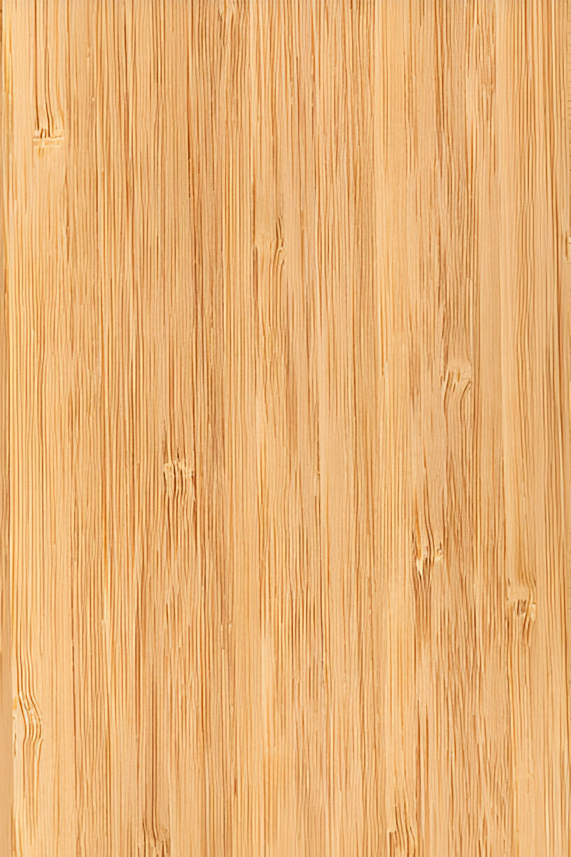 Bamboo
